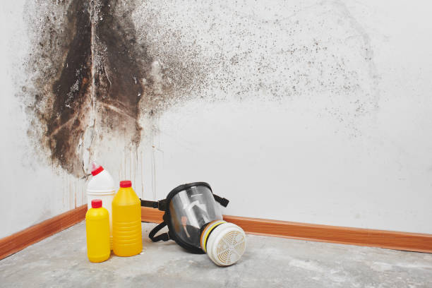 Biohazard Mold Removal in Cherry Valley, IL